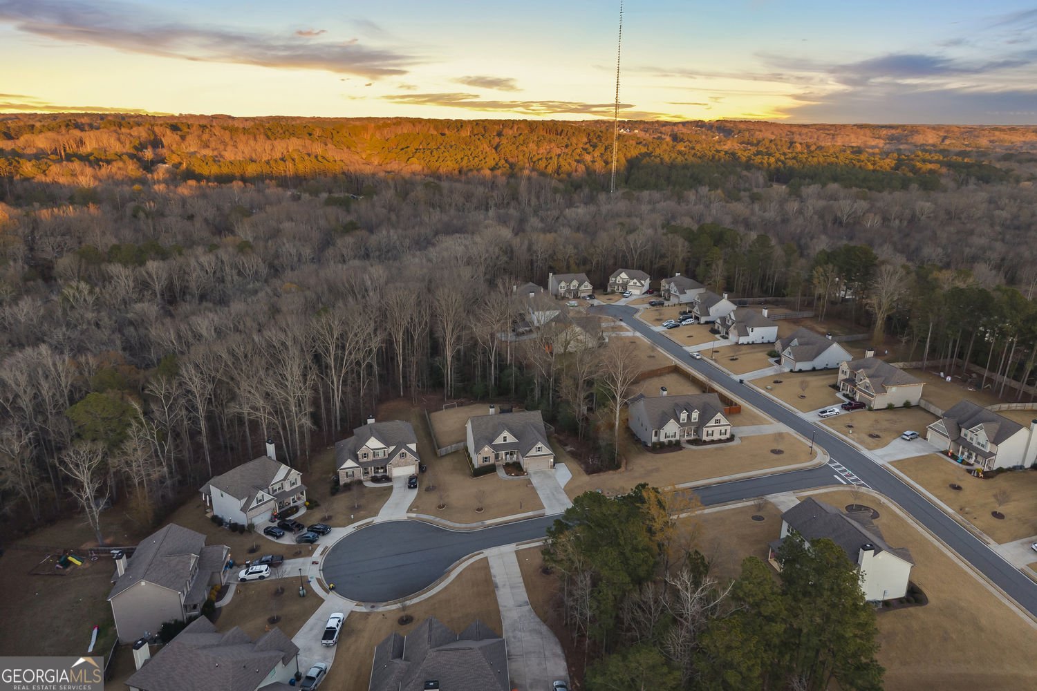 2305 Autumn Olive Way Loganville - 92