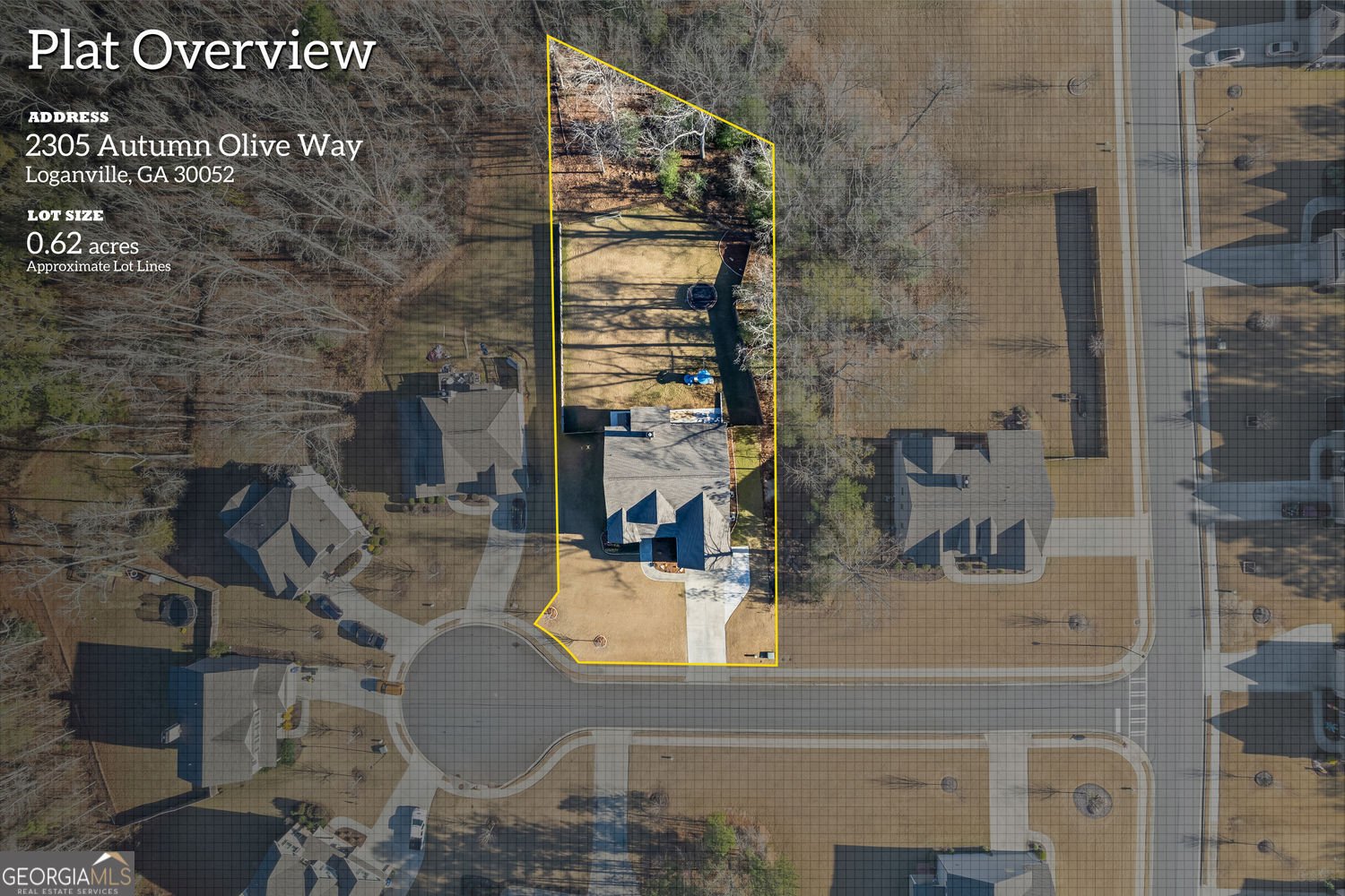 2305 Autumn Olive Way Loganville - 98