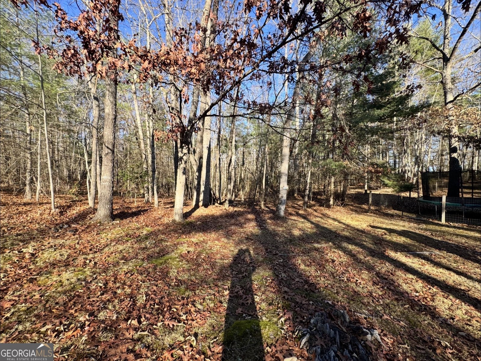 338 Honaker Road Blairsville - 37