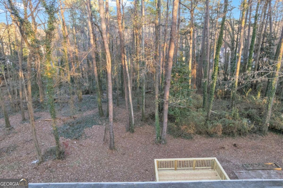 2680 Irene Drive Marietta - 39