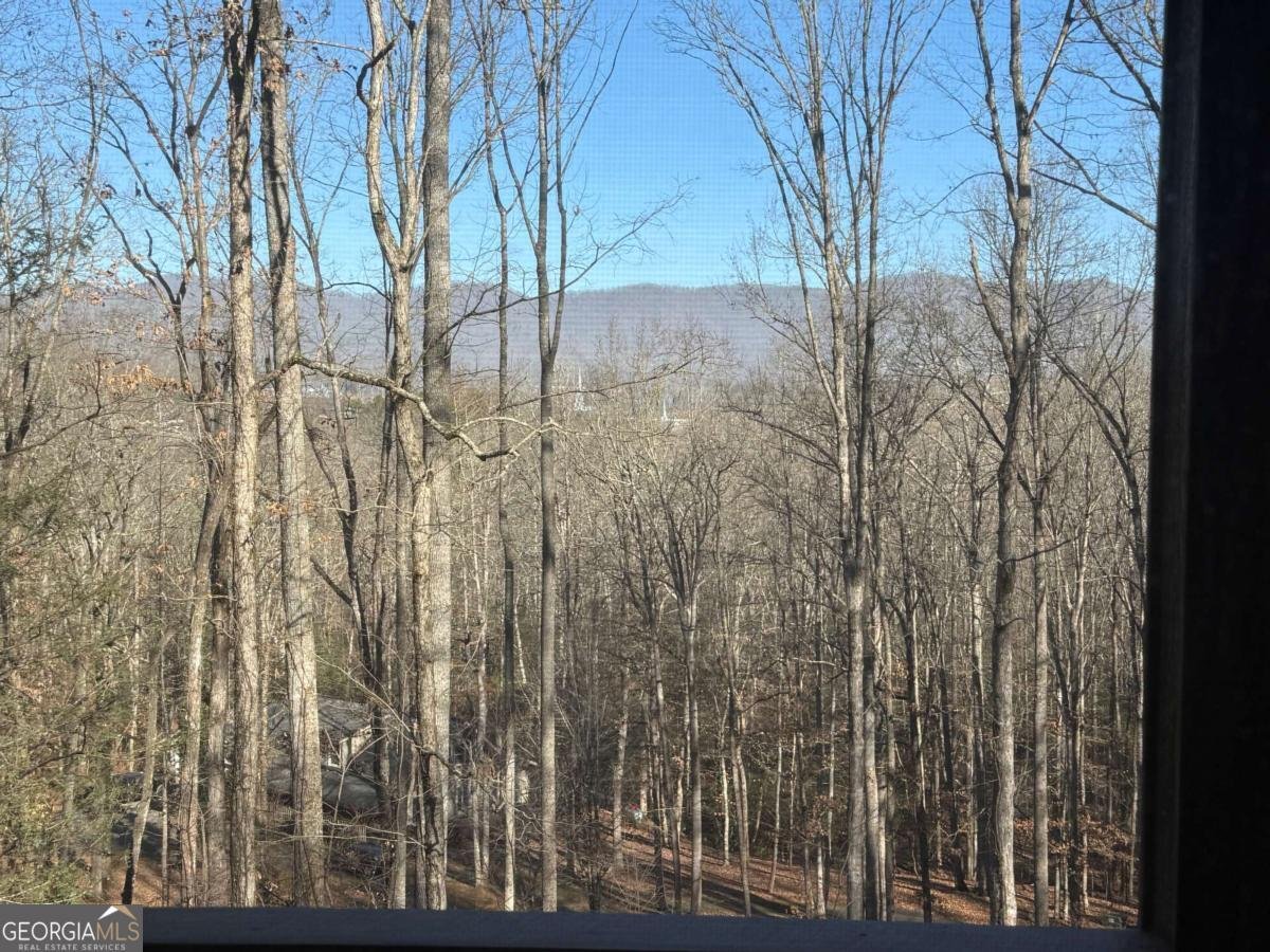 192 Brookwood Drive Blairsville - 36