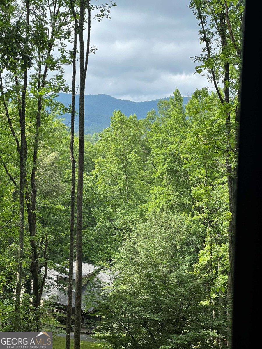 192 Brookwood Drive Blairsville - 75