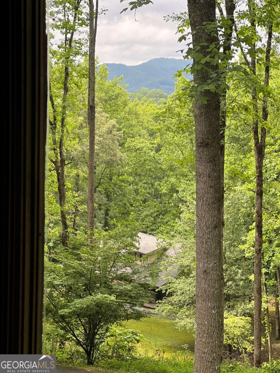 192 Brookwood Drive Blairsville - 76