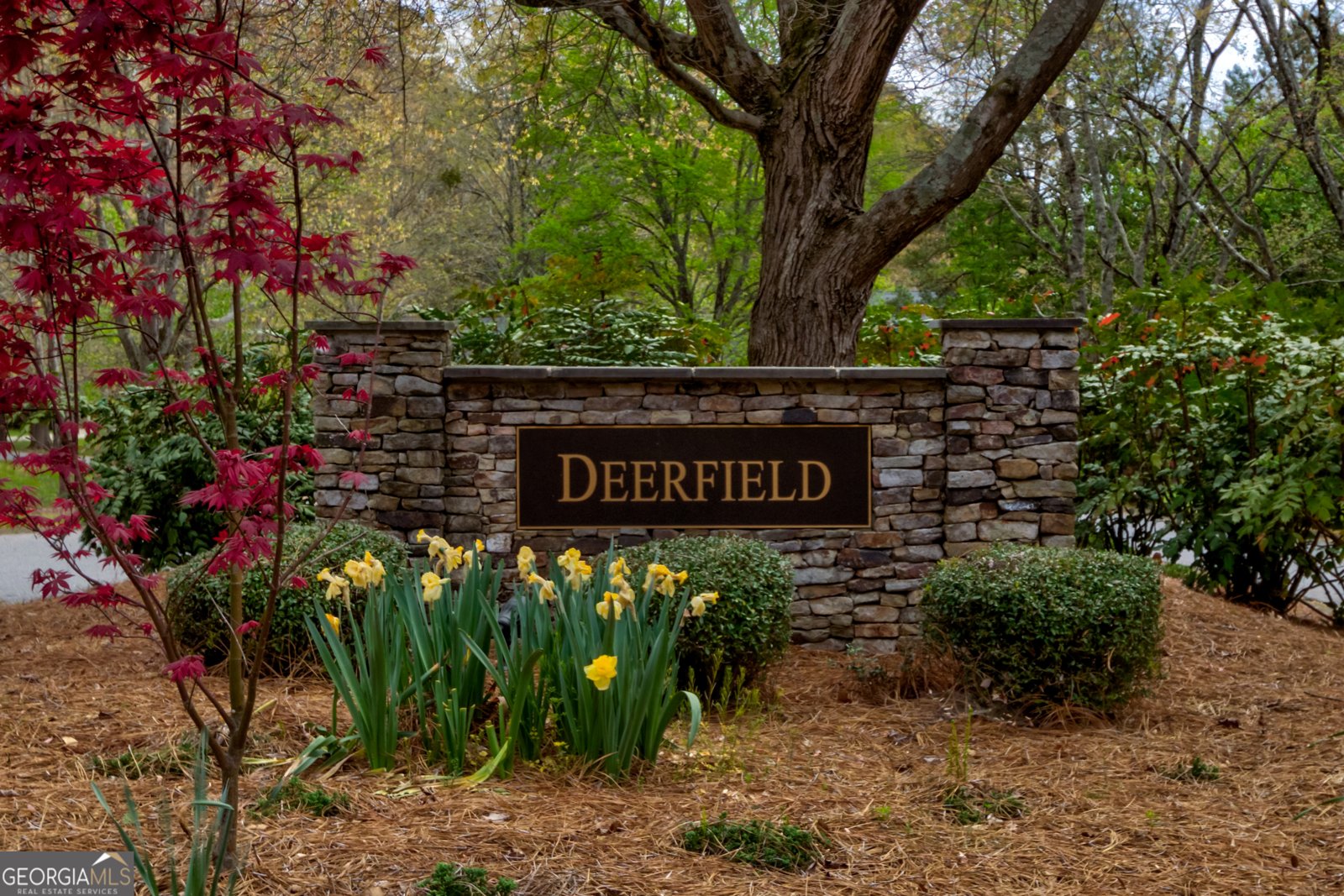 265 Deerhill Drive Bogart - Photo 54