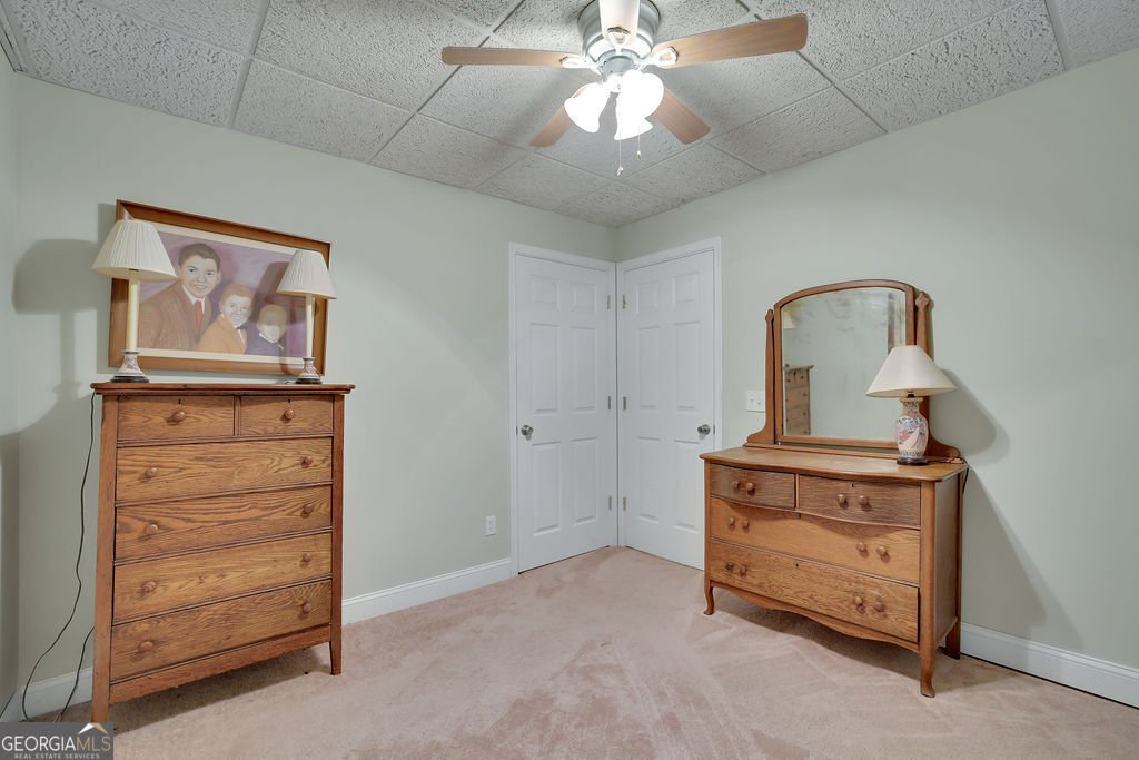 241 Wild Turkey Ridge Ball Ground - 39