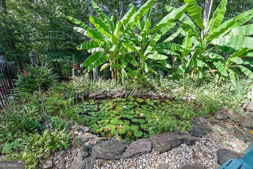 241 Wild Turkey Ridge Ball Ground - 46