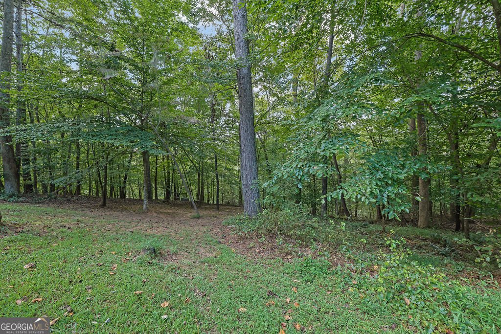 241 Wild Turkey Ridge Ball Ground - 52