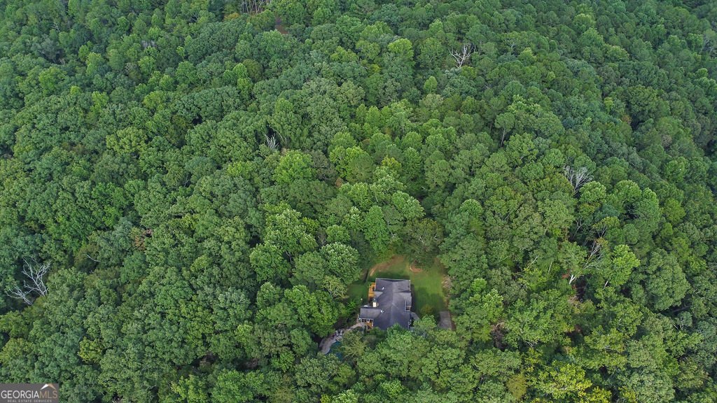 241 Wild Turkey Ridge Ball Ground - 58