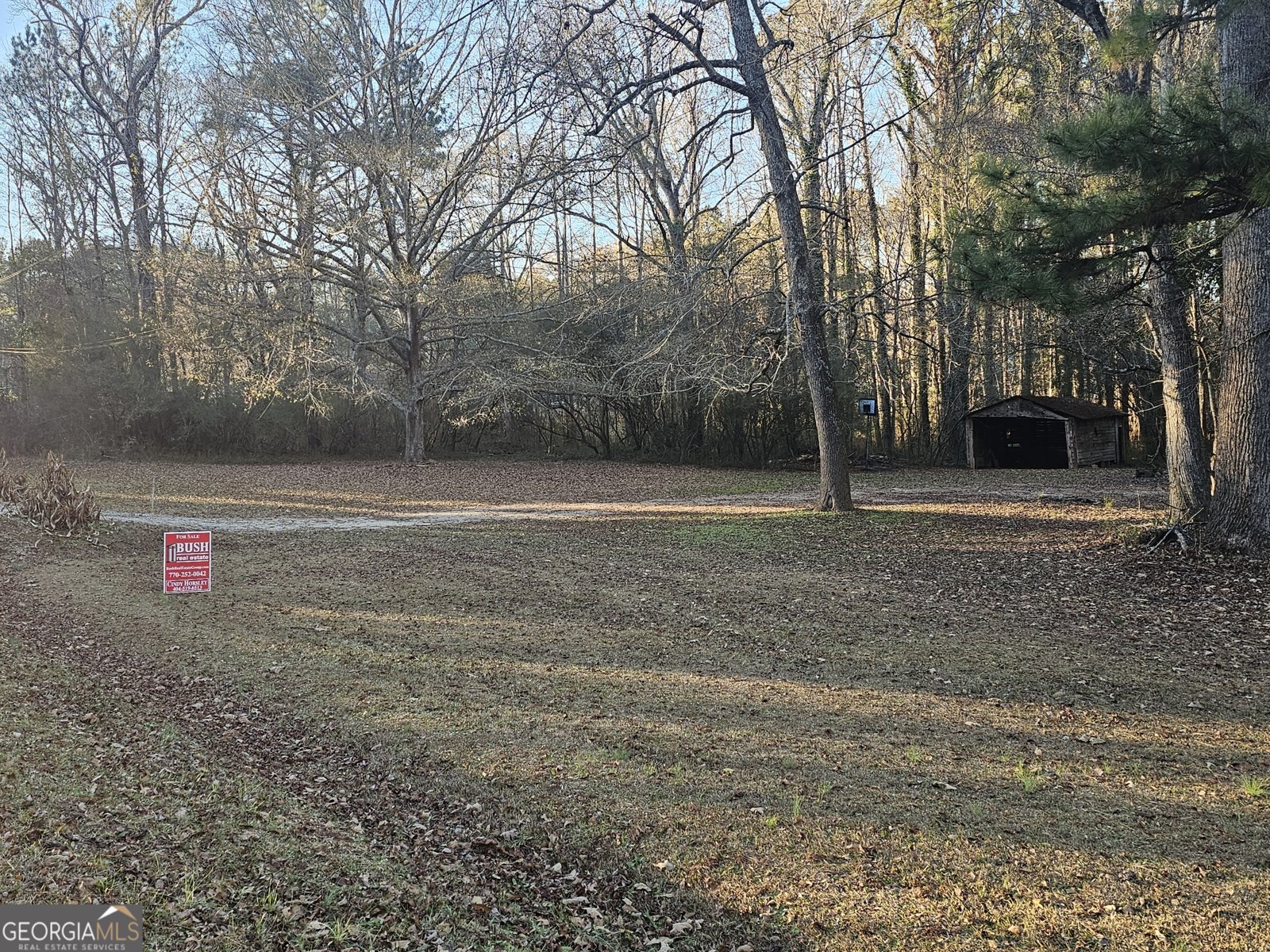 223 Donald Lamb Road Moreland - 10