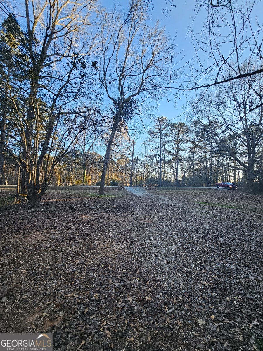 223 Donald Lamb Road Moreland - 11