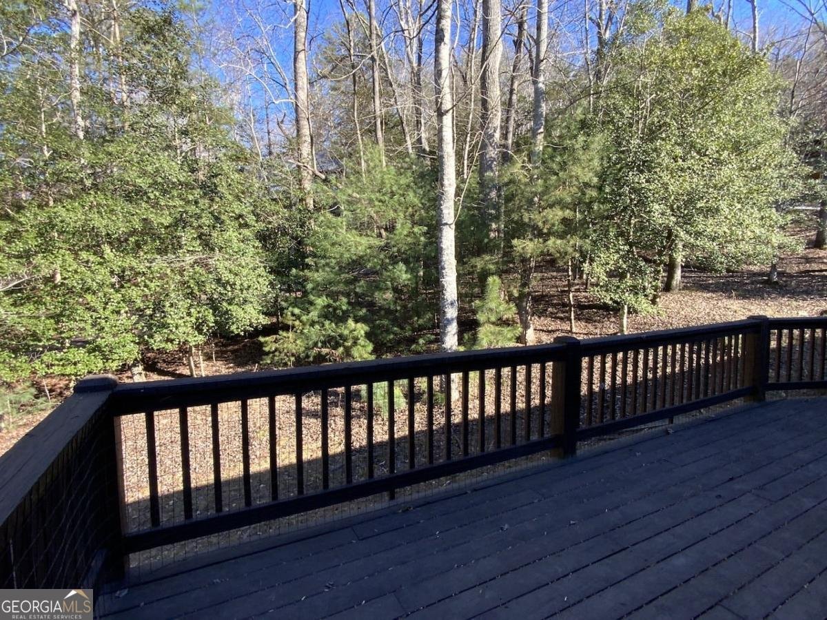 29 Agora Lane Ellijay - 11