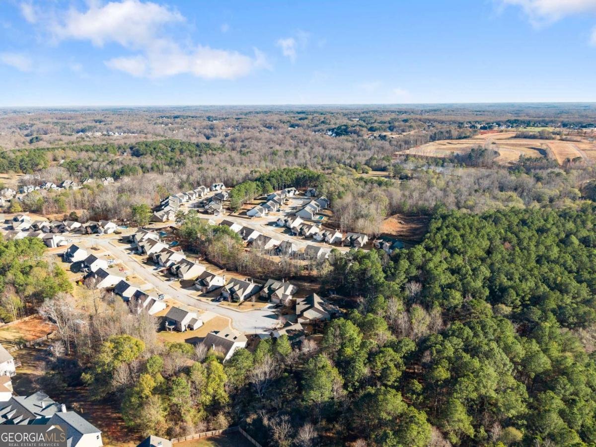 472 Miracle Court Hoschton - 46