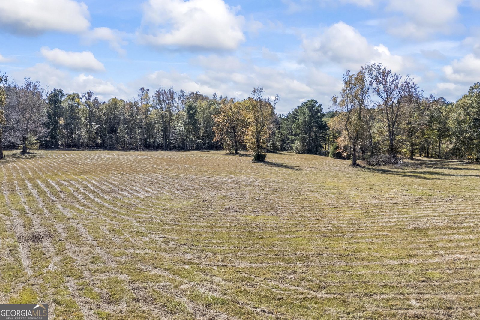 1091 Peachtree Street Woodville - 3