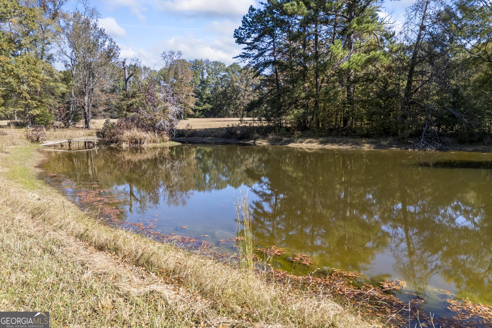 1091 Peachtree Street Woodville - 4