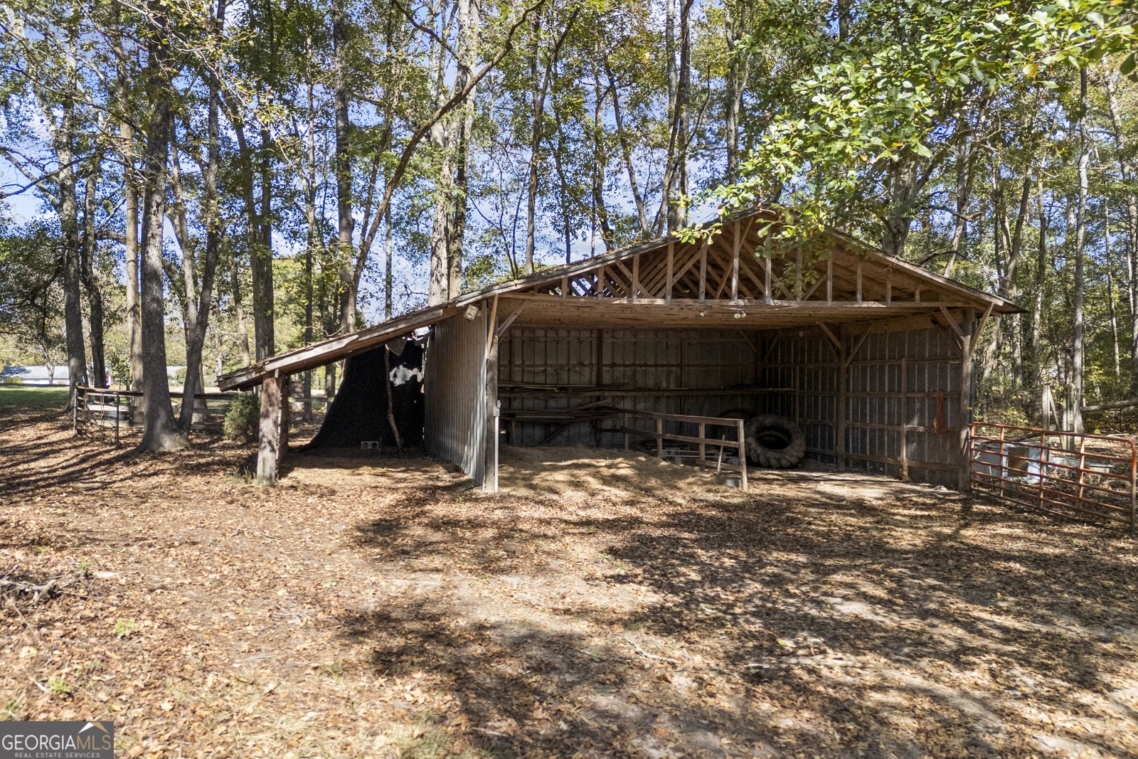 1091 Peachtree Street Woodville - 5