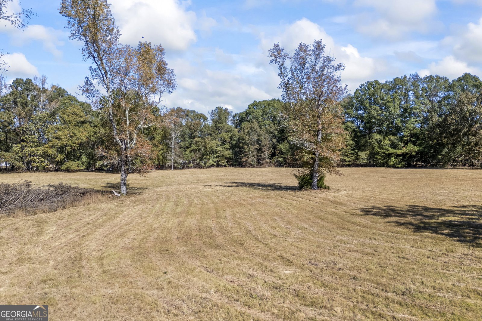 1091 Peachtree Street Woodville - 87