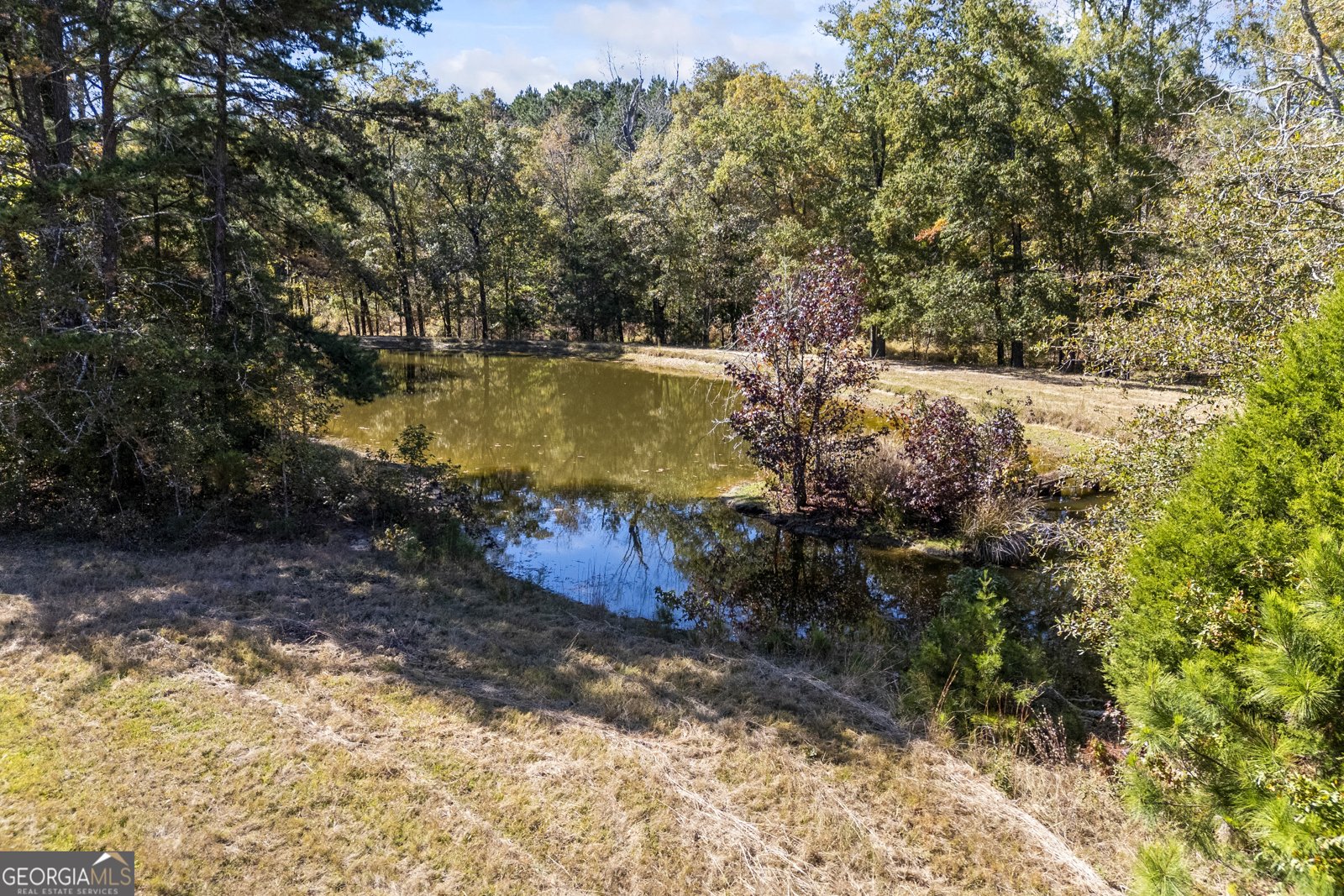 1091 Peachtree Street Woodville - 88