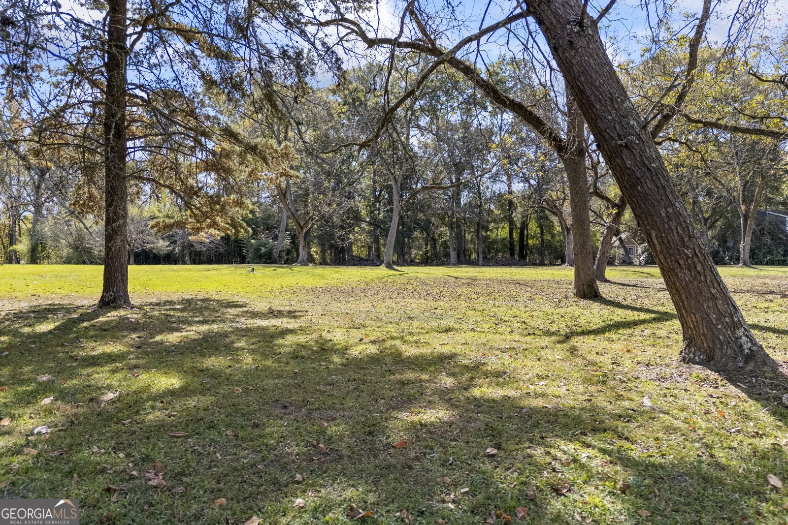 1091 Peachtree Street Woodville - 95