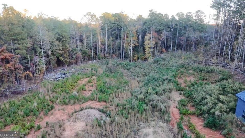 6180 Petersburg Road Fairburn - 3