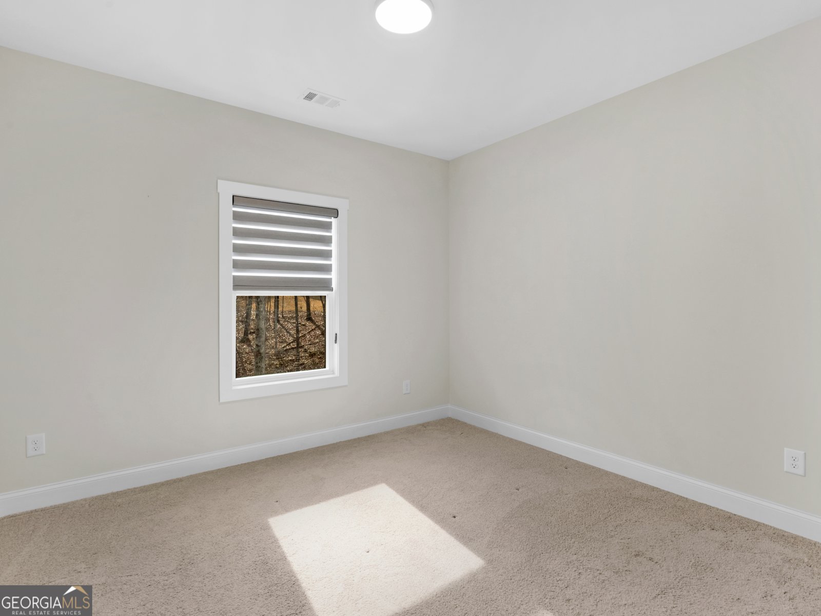 24 Deer Creek Court Moreland - 15