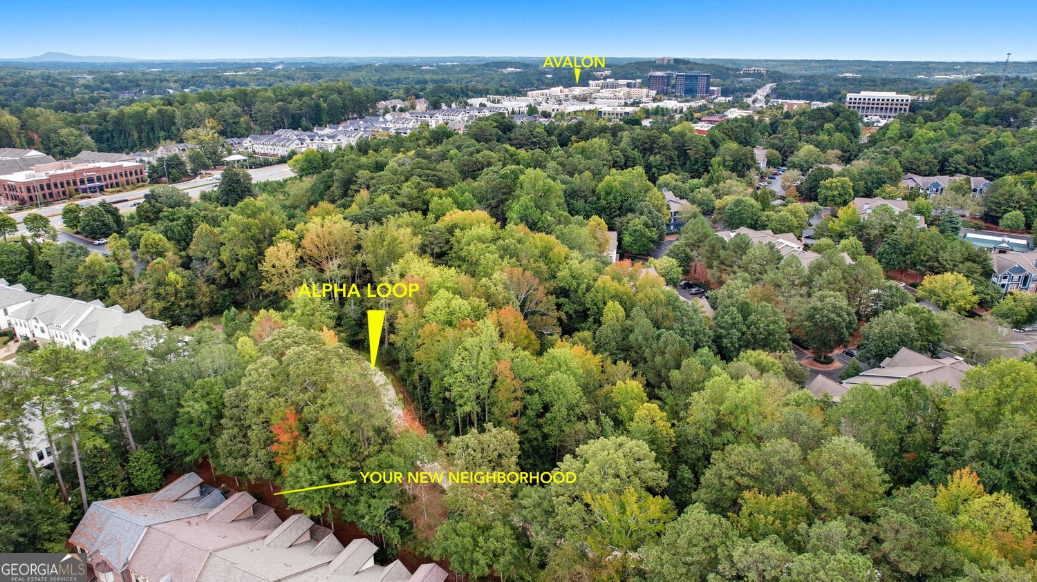 602 Nottaway Lane Alpharetta - 69