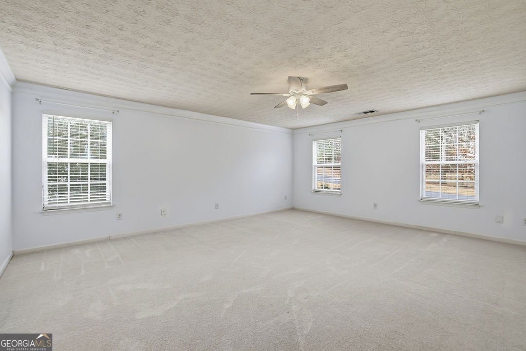 8515 River Hill Commons Drive Ball Ground - Photo 29