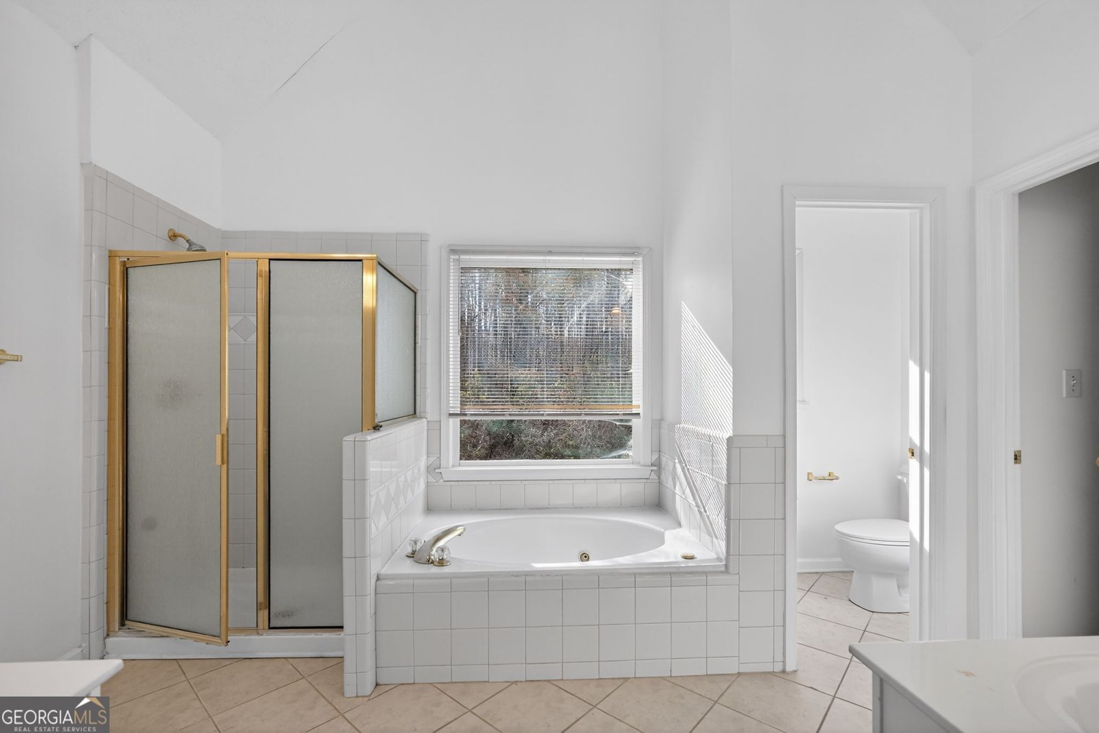 3960 Saddle Ridge Drive Lithonia - 22