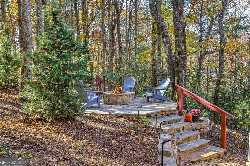 93 Anderson Drive Blue Ridge - 21