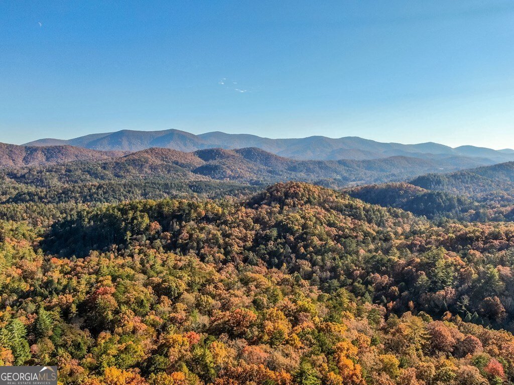 93 Anderson Drive Blue Ridge - 7