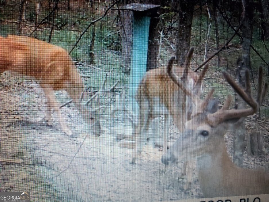 2566 U S 19 Highway Meansville - 38