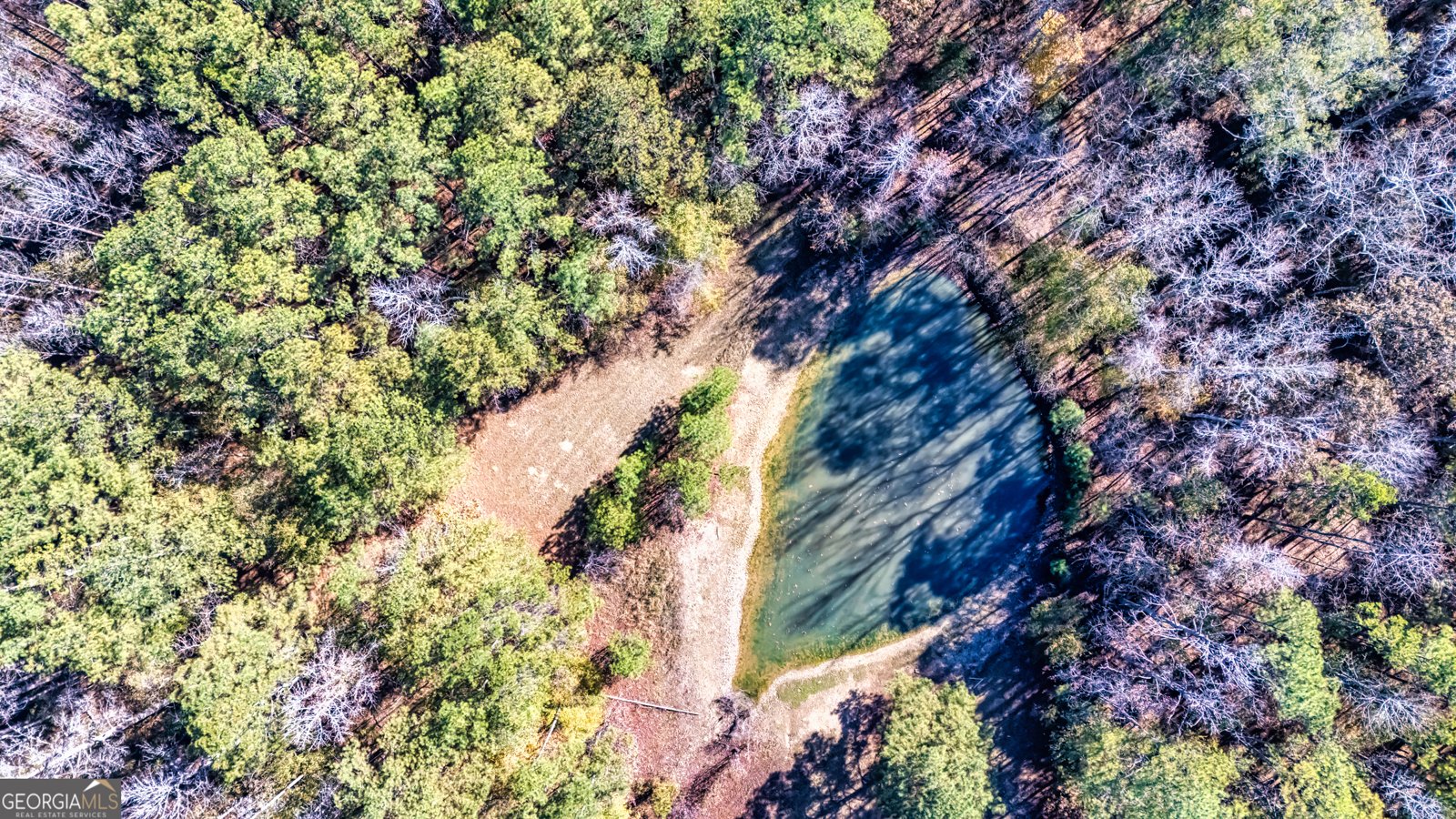 276 Lee Thompson Road Moreland - 8