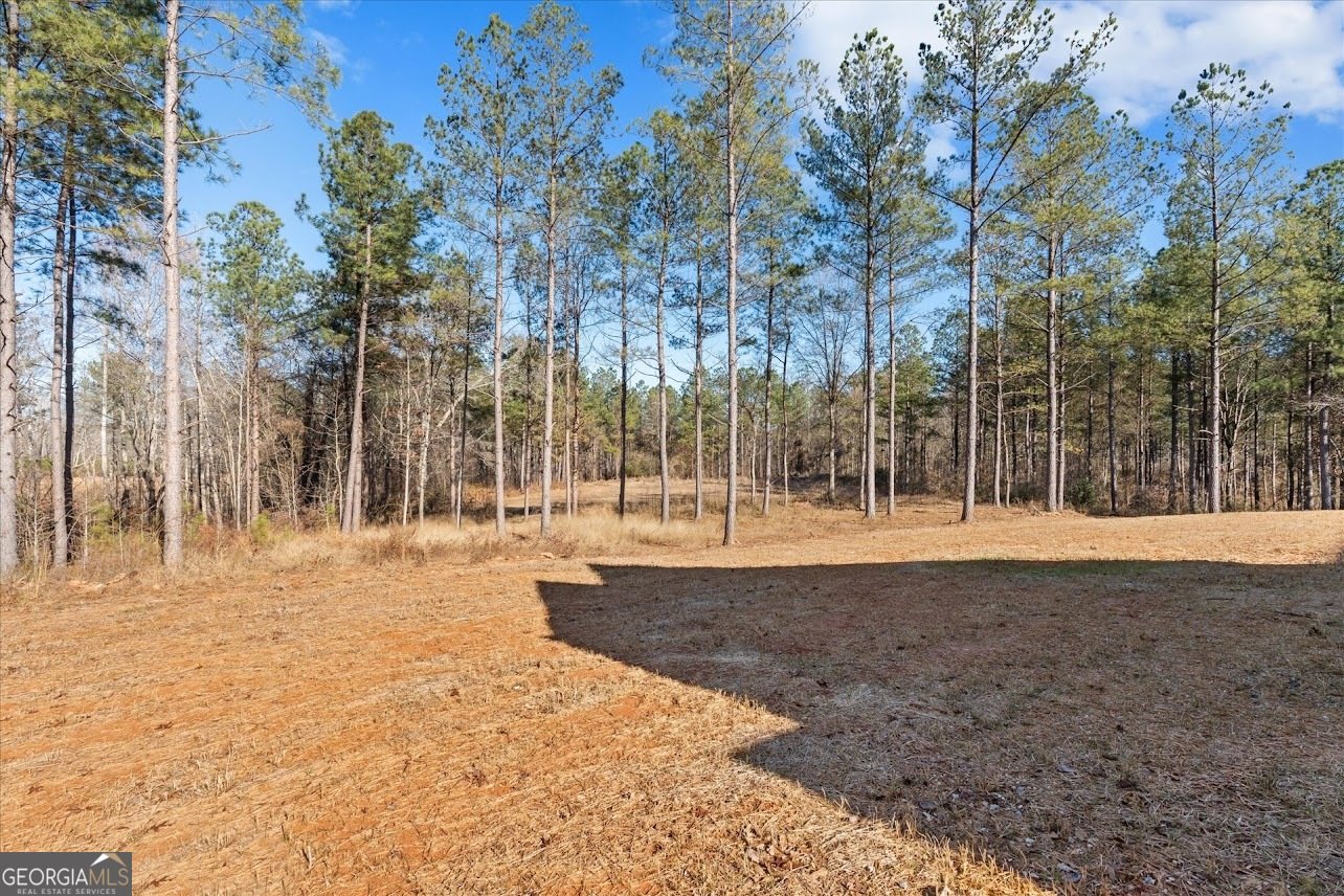 1374 Morgan Road Bremen - 50