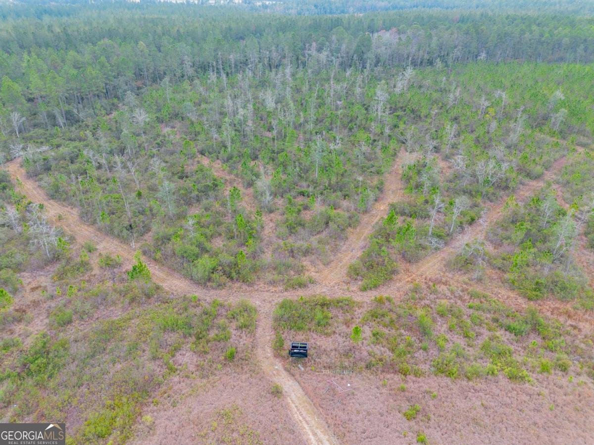 7059 Thornbird Road Waycross - 30