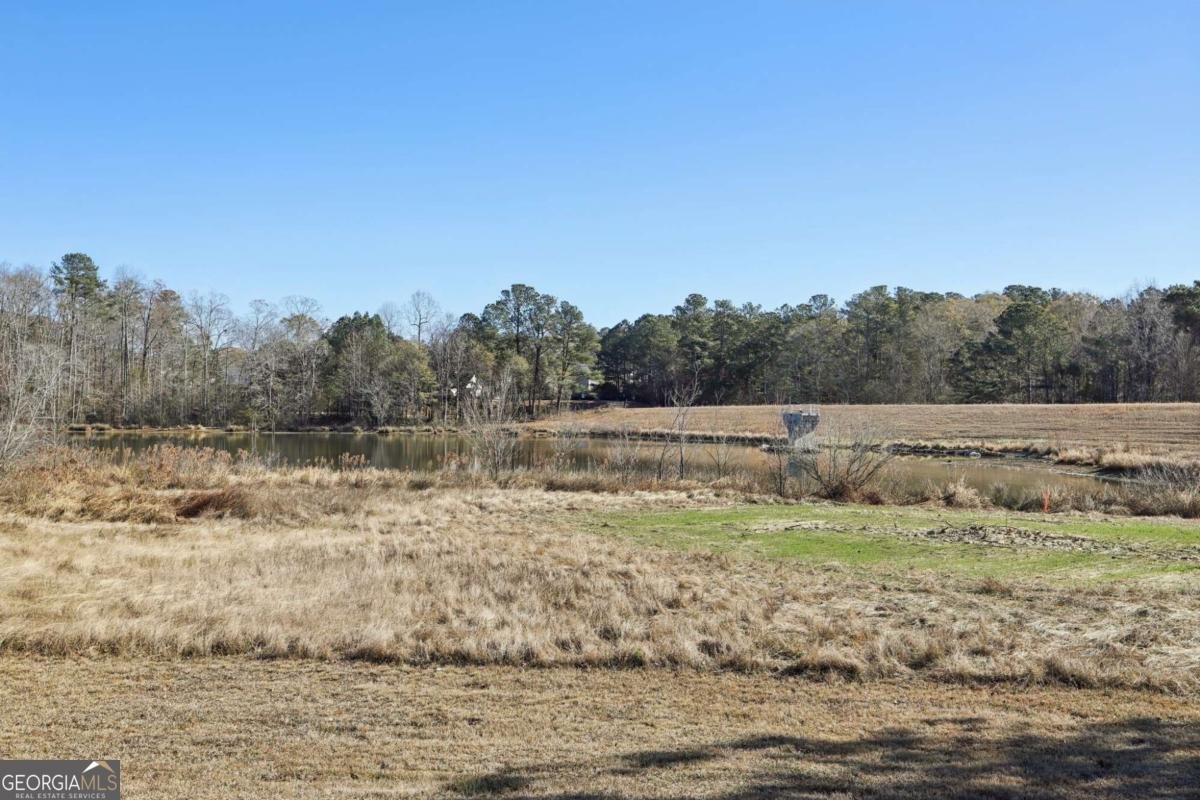 3115 Wellbrook Drive Loganville - 28