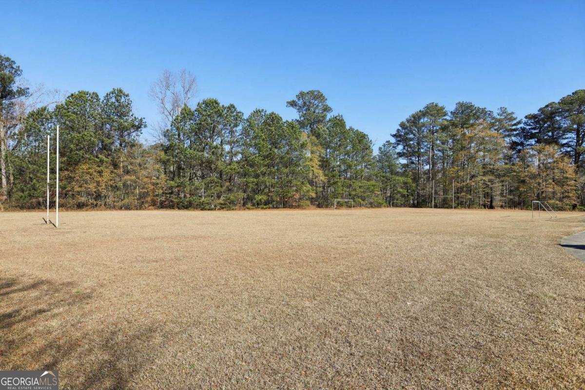 3115 Wellbrook Drive Loganville - 29