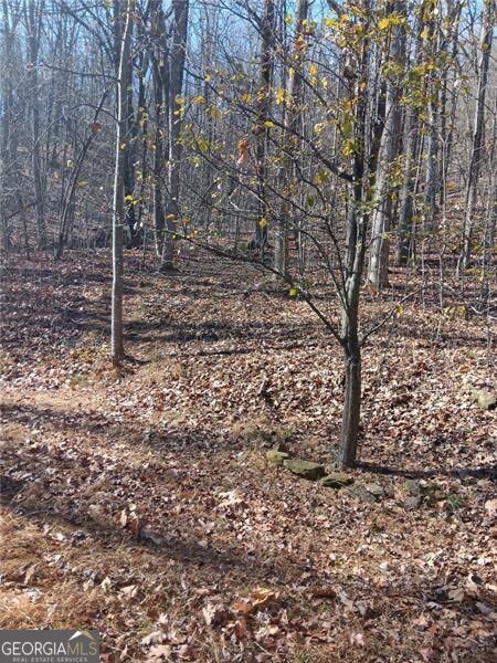 206 Oakridge Drive Cleveland - 19