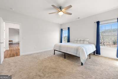 405 Lola Drive Blairsville - 29