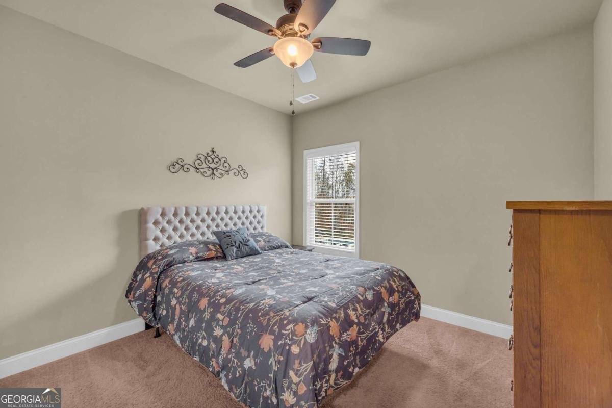 4528 White Horse Drive Braselton - 18