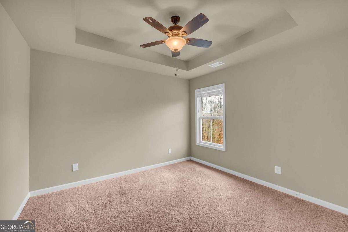 4528 White Horse Drive Braselton - 33