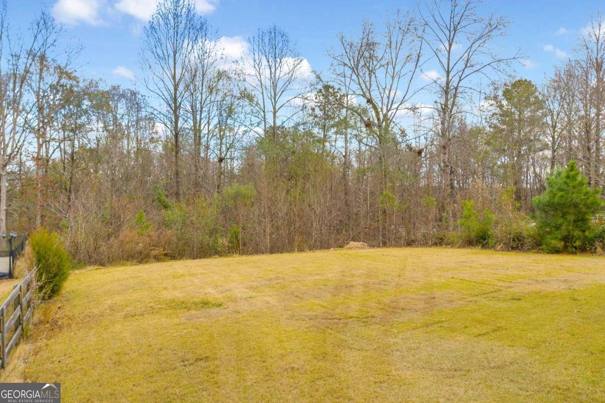 4528 White Horse Drive Braselton - 46