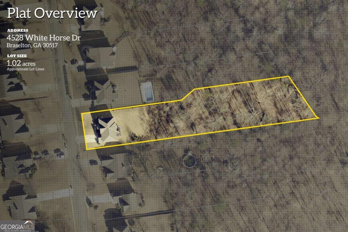 4528 White Horse Drive Braselton - 49