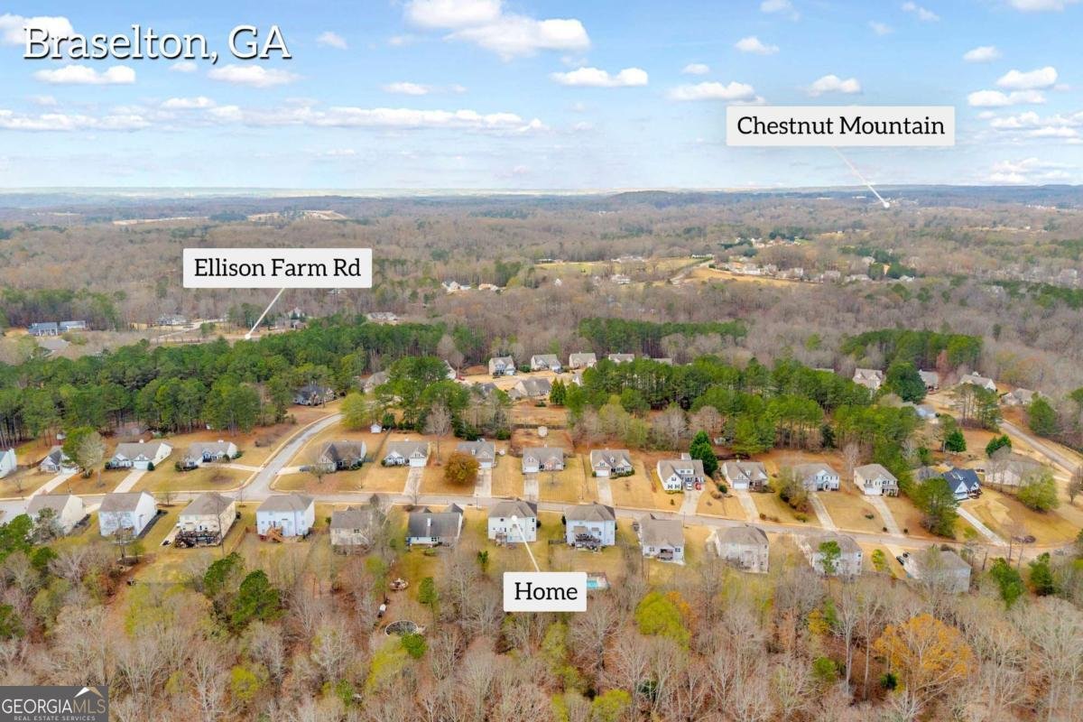 4528 White Horse Drive Braselton - 51