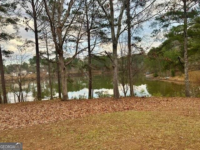 215 Shoreline Drive Fayetteville - 31