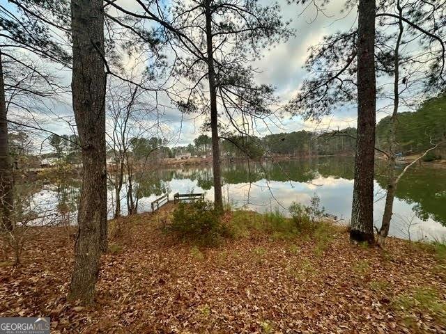 215 Shoreline Drive Fayetteville - 33