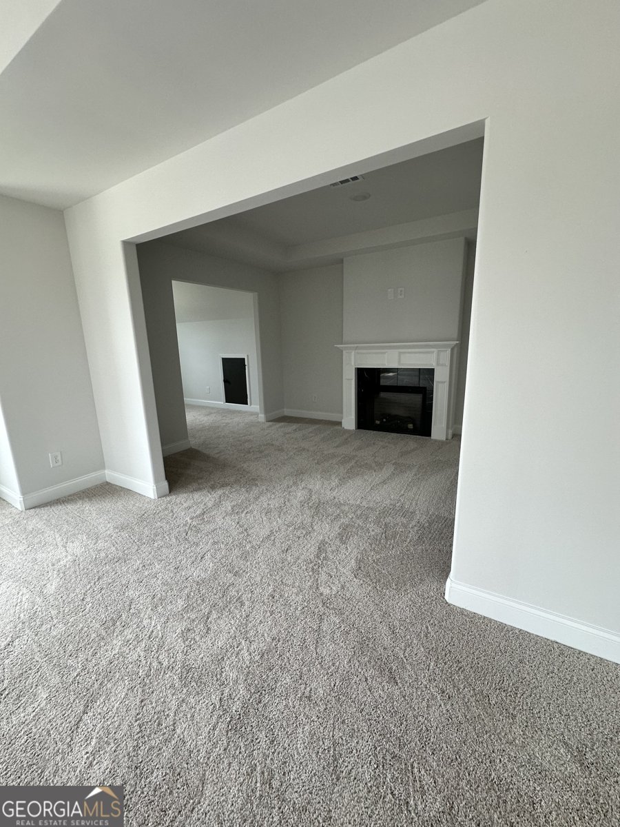 208 Ashley Nicole Avenue Bonaire - 20