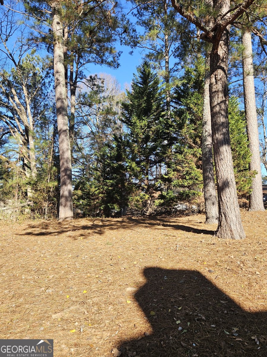 743 Summer Chase Drive Jonesboro - 29