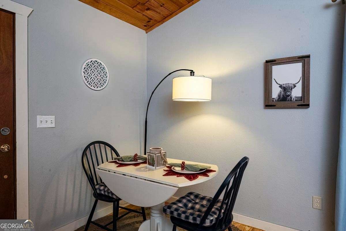 878 Copperhead Road Blairsville - 13