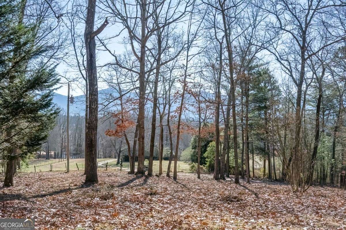 878 Copperhead Road Blairsville - 39