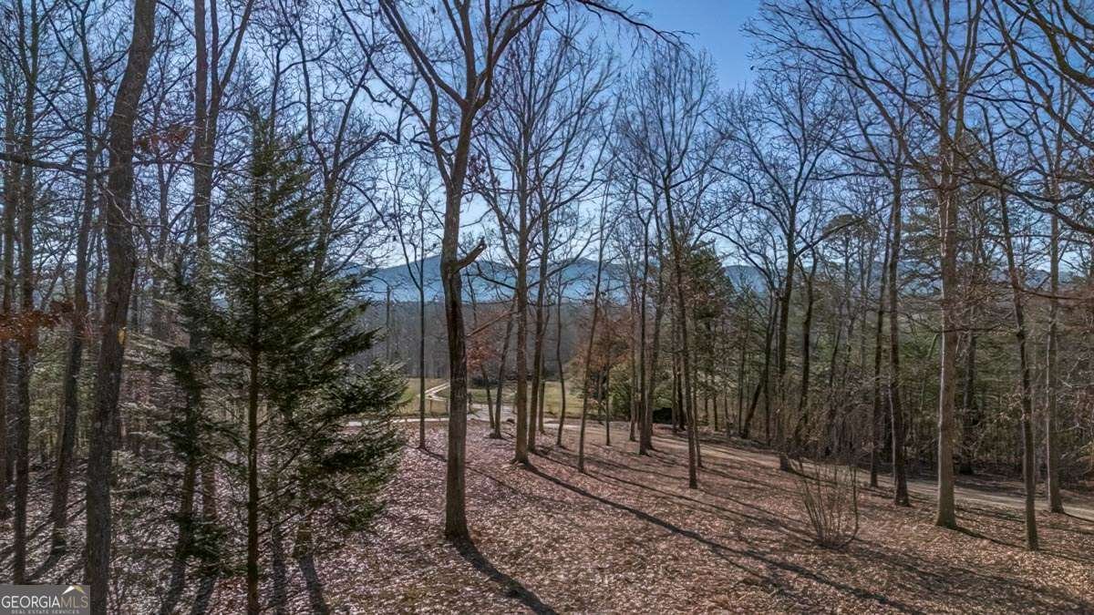 878 Copperhead Road Blairsville - 44