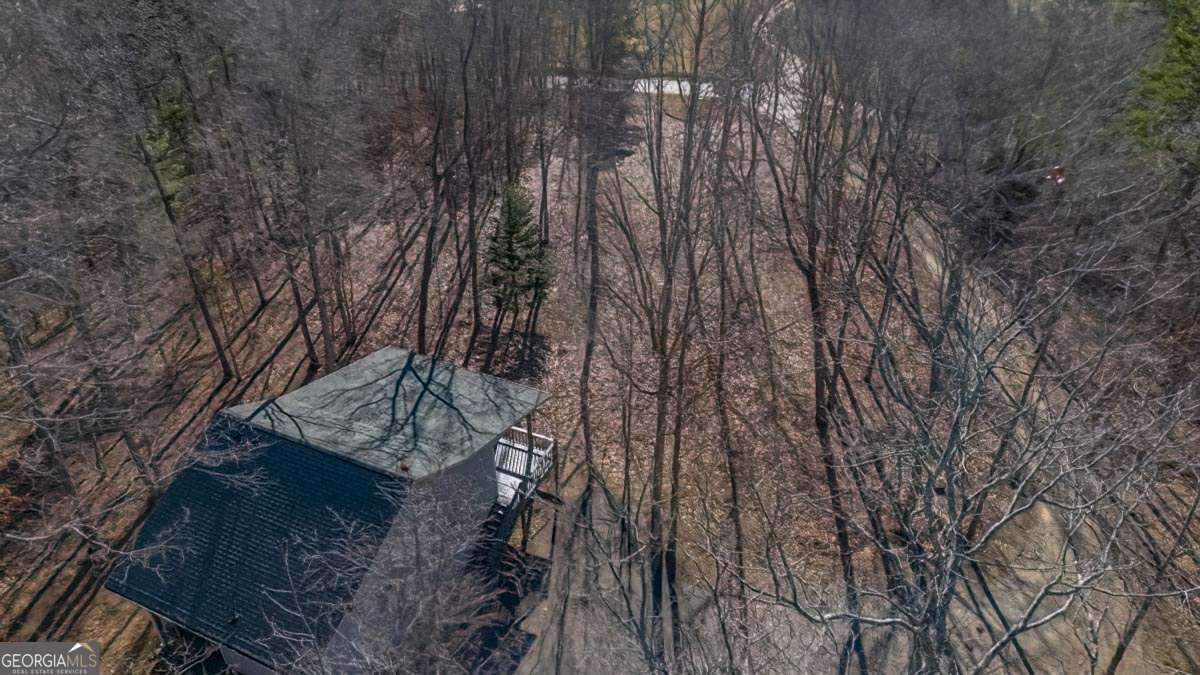 878 Copperhead Road Blairsville - 46